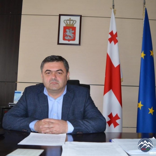 Davit Şerazadaşvili 85.41 % səslə Bolnisi şəhərinin meri olub