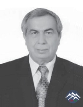 Professor Nizami HƏSƏNLİ (1941)